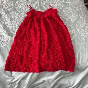 H&M Scarlet Floral Embellished Dress